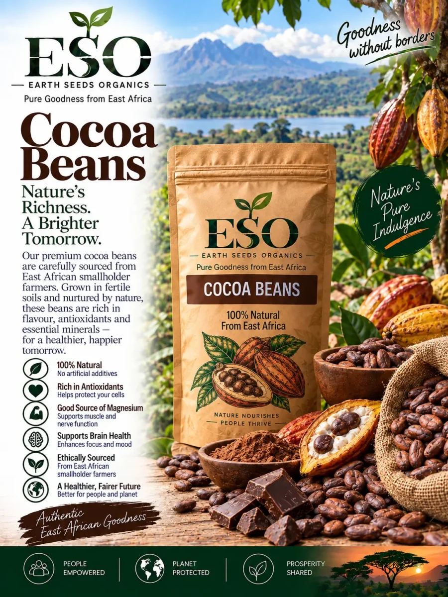 Cocoa Beans